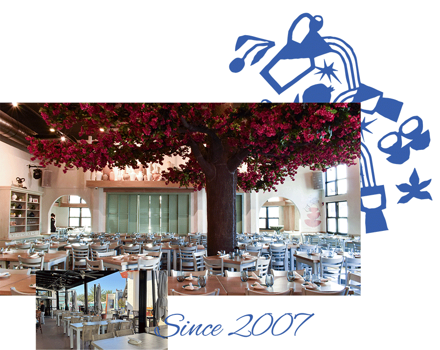 Taverna Opa Since 2007