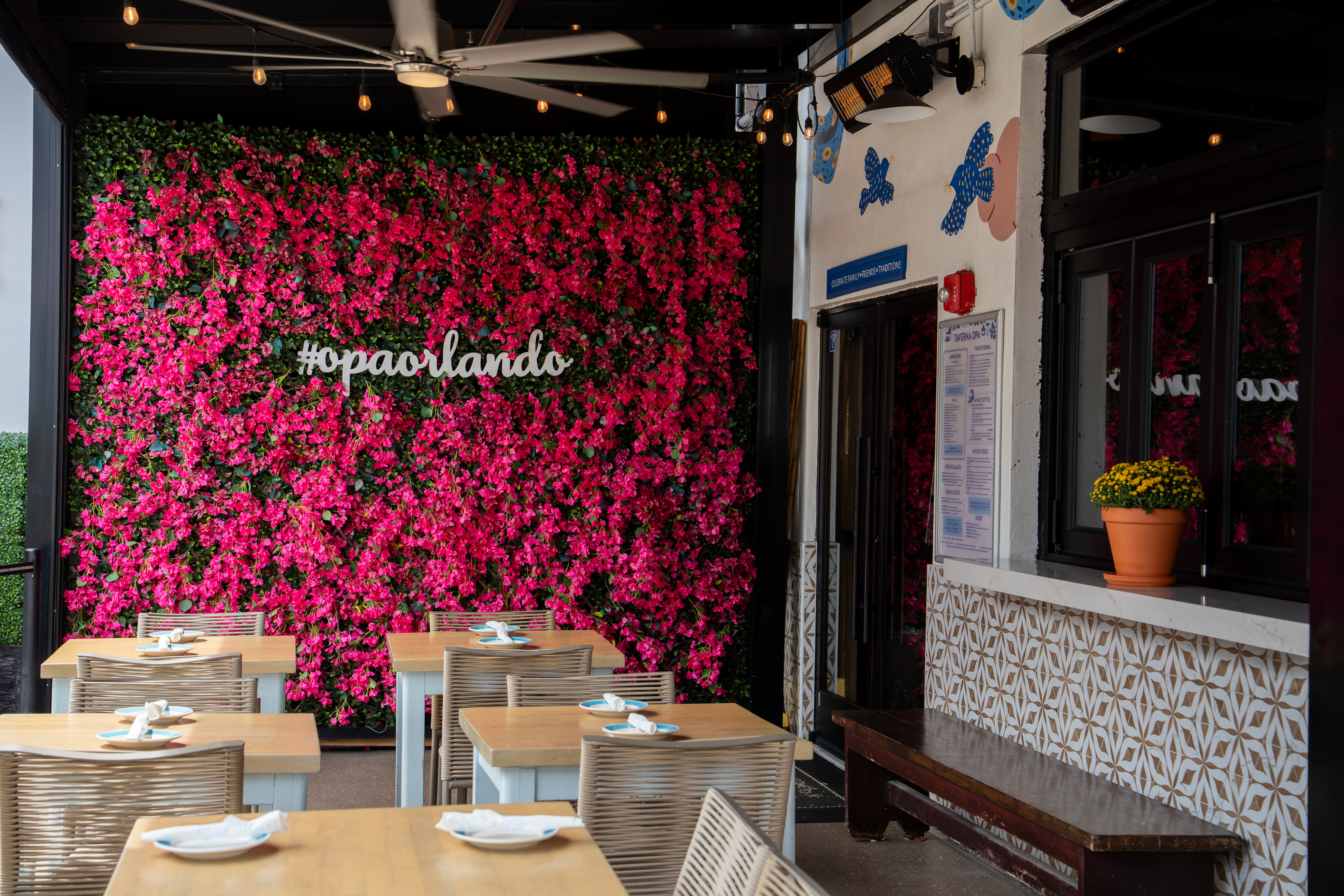 Opa Flower Wall 5